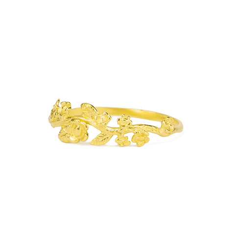 Large Lucia Ring in Gold