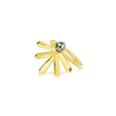 Large Lucia Ring in Gold