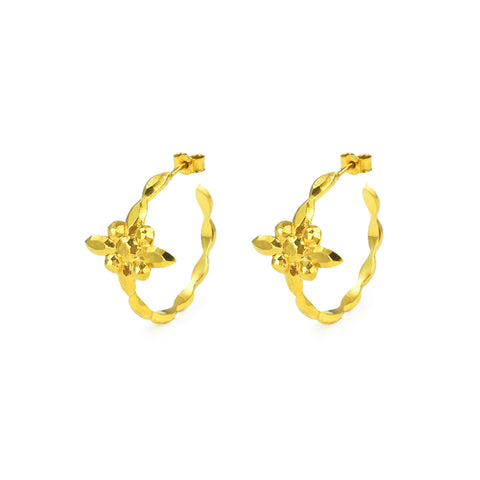 Petra Gold Earrings with Carnelian